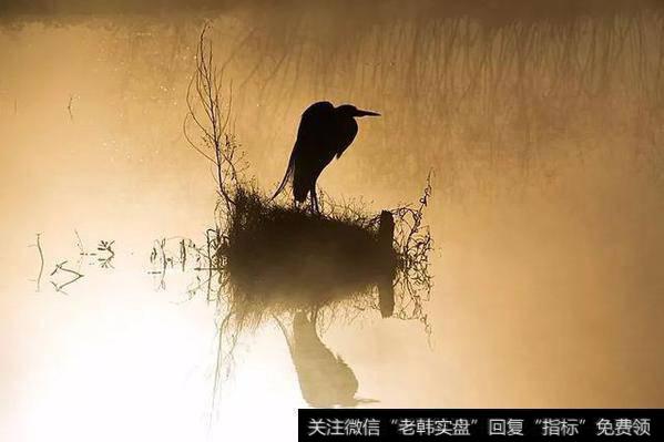 <a href='//m.sasasearch.com/gushiyaowen/290200.html'>证券</a>投资的“剑宗”与“气宗”