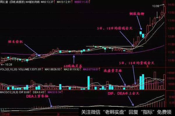 同仁堂日线