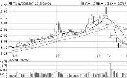 布局低市盈率电力股