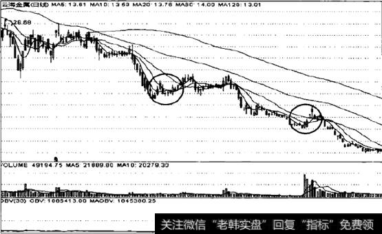 云海金属走势图
