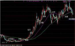 庄家如何坐庄 怎样才能与“龙共舞”？