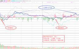 6月21日涨停板复盘—漂亮50迎来疯狂阶段