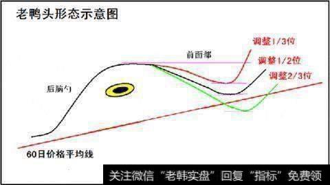 老鸭头图形特征