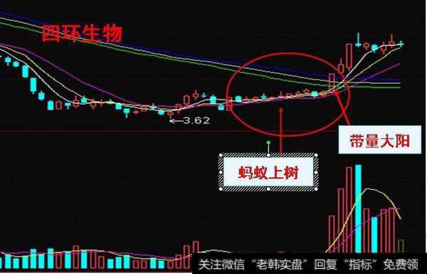 牛股形态之按捺不住