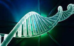 <em>华大基因</em>IPO批文下发产业链 基因测序概念股受推荐