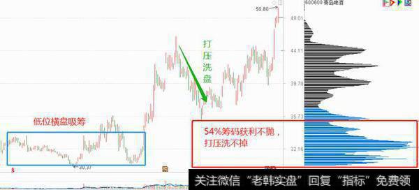 002871<a href='//m.sasasearch.com/t_28068/'>伟隆股份</a>