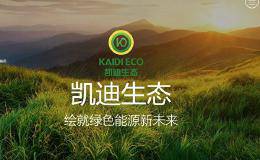 四家华体会赛事竞猜密集违约 陆企债务危机临近