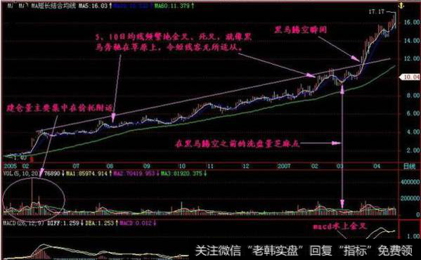 股市里常说的“黑马草上飞”技术形态是怎样的？该如何操盘？