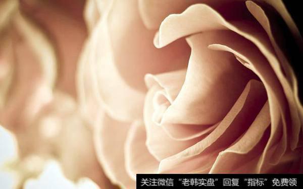 利空不断,指数很抗揍