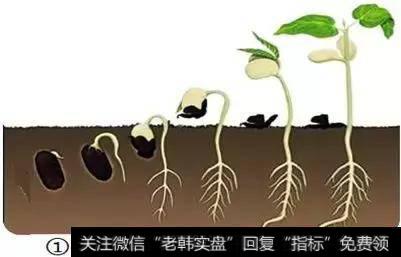 <a href='//m.sasasearch.com/cgjq/289656.html'>炒股</a>获利是一个循序渐进的过程