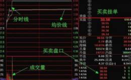 从哪开始了解分时图？分时图怎么看？散户如何看懂分时图？