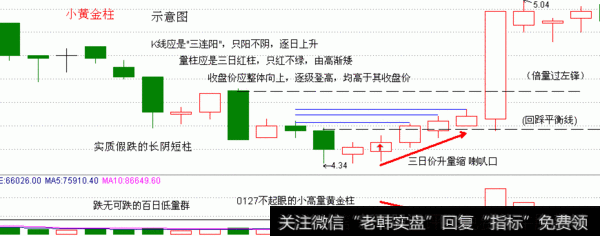 【小黄金柱】Xiaohuangjinzhu