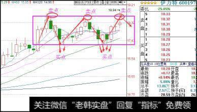 箱体震荡内个股