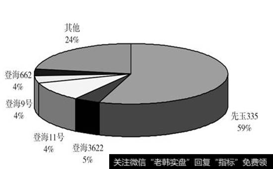 图20-10  登海种业2009年分产品收入占比情况