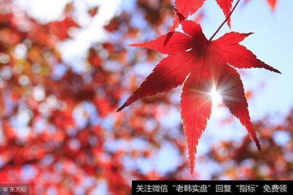 中国<a href='//m.sasasearch.com/caijunyi/290233.html'>股市</a>带血经验
