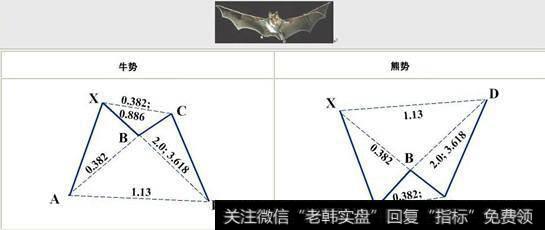 变种蝙蝠图形