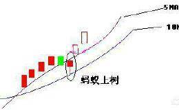 为什么有的人觉得运用蚂蚁上树K线选股技巧能够巧选黑马股？