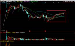 温州帮减仓奇精机械，浙江帮出货搜于特