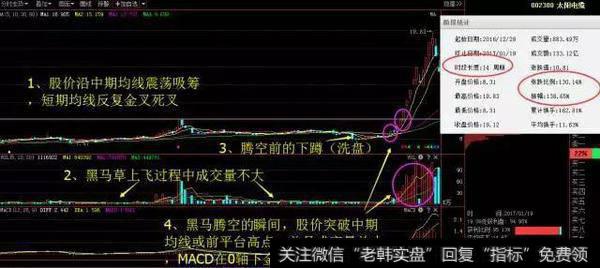 黑马草上飞