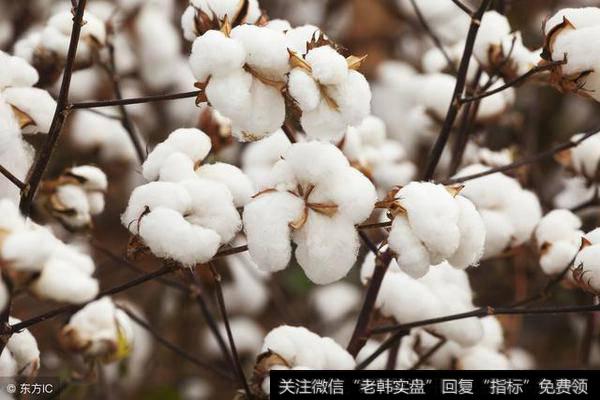 政策<a href='//m.sasasearch.com/gpxipan/'>洗盘</a>迎来低吸机会