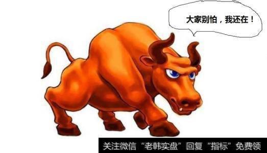 离开了牛市,你什么都不是