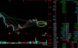 电光科技昨日尾盘偷袭拉升10%，今天跌停跑路