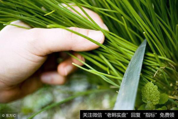 <a href='//m.sasasearch.com/lidaxiao/290031.html'>中国股市</a>巨大的阴谋：富士康开板日恐成A股“至暗时刻”！