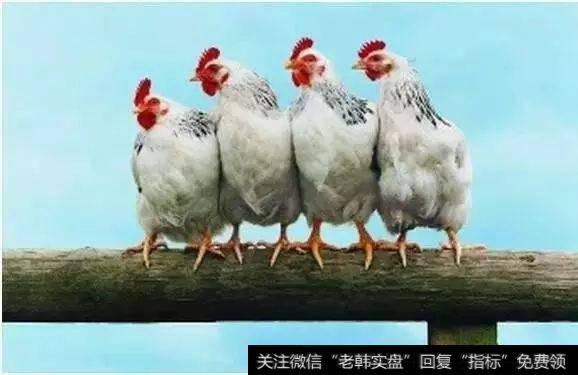 8元<a href='//m.sasasearch.com/cgjq/289656.html'>炒股</a>
