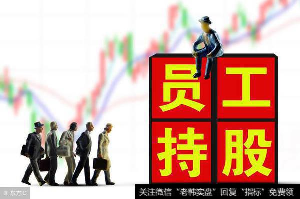 员工持股