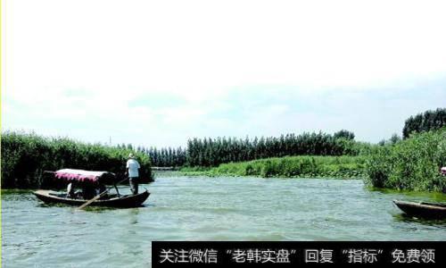 白洋淀治污<a href='//m.sasasearch.com/gainiangu/'>概念股</a>