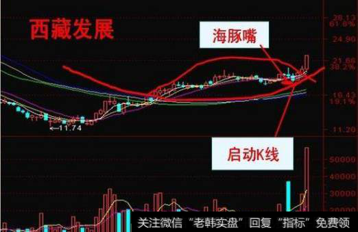 海豚嘴形态怎么运用?案例展示:西藏发展