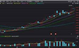 如何运用华体会ap
和市销率识别泡沫