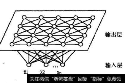 SOM网络结构