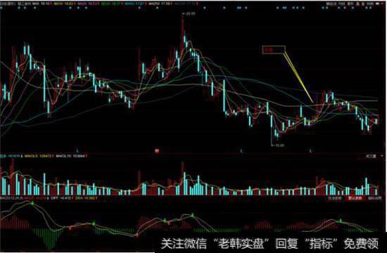 <a href='//m.sasasearch.com/cgjq/278168.html'>及时止损</a>