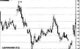 锤头形态的蜻蜓十字是什么样的?