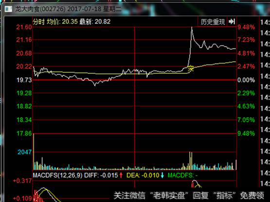 龙大肉食分时走势图