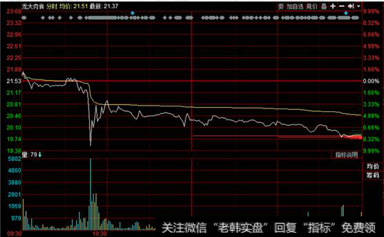 龙大肉食分时走势图