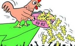 我国华体会赛事竞猜
高派现行为探析