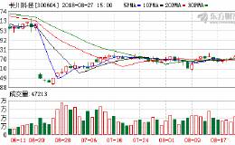 两市高开高走 <em>长川科技</em>等6只股盘中创新高