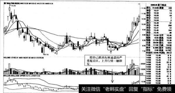 2008年12月24至2009年1月27日厦门钨业的K线走势