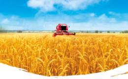 首届中国农民丰收节将至,农资流通题材概念股可关注