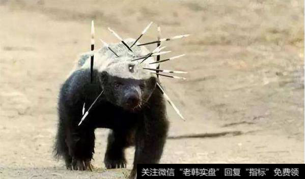 机构<a href='//m.sasasearch.com/chaodi/'>抄底</a><a href='//m.sasasearch.com/xinguwd/234686.html'>鸿博股份</a>；<a href='//m.sasasearch.com/ztbyc/289270.html'>德新交运</a>封板
