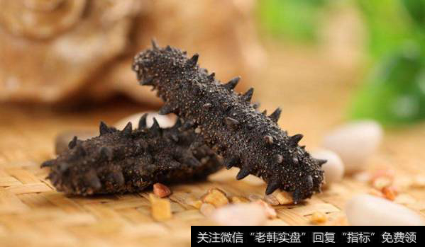 鲜海参价格创近10年新高,海参题材<a href='//m.sasasearch.com/gainiangu/'>概念股</a>可关注