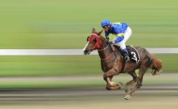 《海南省赛马运动发展规划》已基本完成相关公司受关注