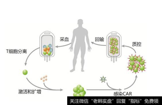 CAR-T治疗全球受关注,CAR-T治疗题材<a href='//m.sasasearch.com/gainiangu/'>概念股</a>可关注