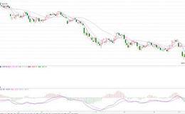 徐文明最新股市消息：疯狂杀跌时你敢抄底吗？