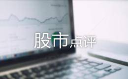 水皮股市点评：前三季净利润减少近15倍 <em>美丽生态</em>靠股东输血维持运营