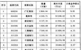 从2010年四季度重仓股来看王亚伟把重点在哪方面？