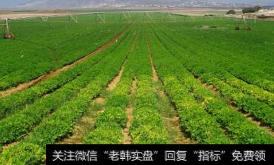 国家质量兴农战略规划发布,兴农战略题材<a href='//m.sasasearch.com/gainiangu/'>概念股</a>可关注