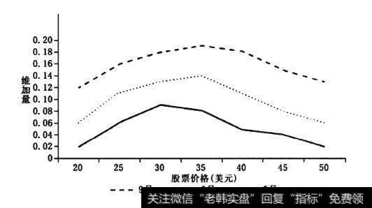期权维加与什么有关联？